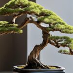 bonsai para apartamentos (1)