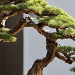 bonsai para apartamentos (1)