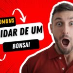 erros comuns ao cuidar de um bonsai