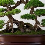 Bonsai no Trabalho Como Melhorar Produtividade e Equilíbrio no Escritório com Feng Shui