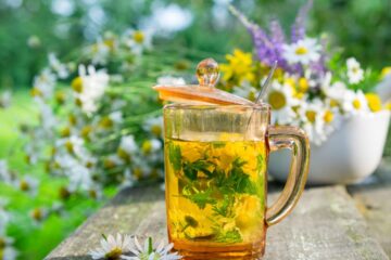 Como o Bonsai de Árvores Medicinais Pode Melhorar Sua Saúde Naturalmente