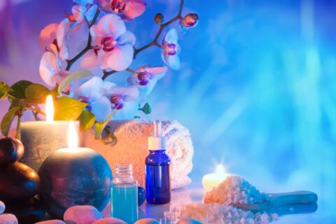 bonsais e cromoterapia