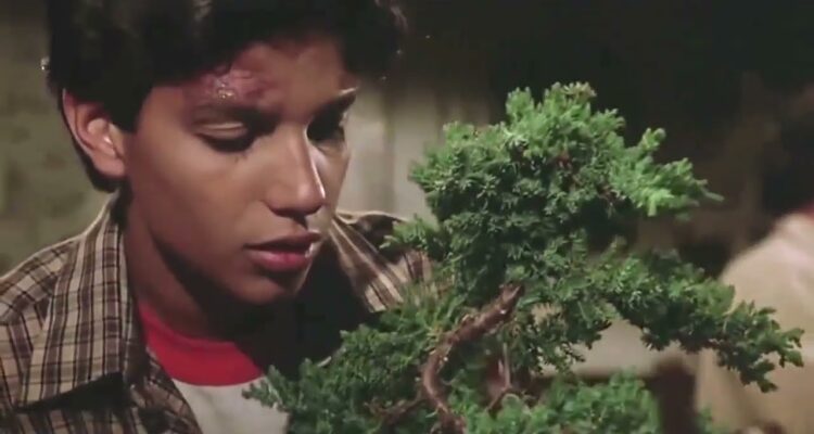 karate kid bonsai