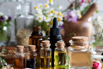 poder terapêutico dos bonsais medicinais