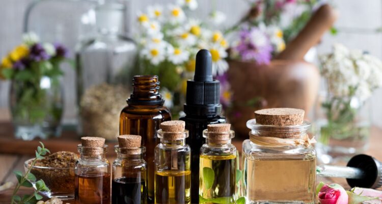 poder terapêutico dos bonsais medicinais