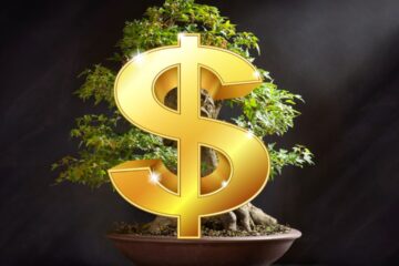 quanto custa um bonsai