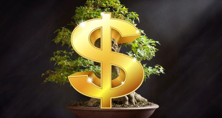 quanto custa um bonsai