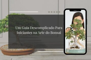 Bonsai é Mais Simples do Que Você Imagina Um Guia Descomplicado para Iniciantes