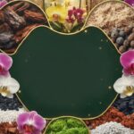 O Segredo das Orquídeas Eternas: 7 Substratos Infalíveis para Elas Florescerem o Ano Inteiro