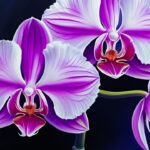 bonsais e orquideas