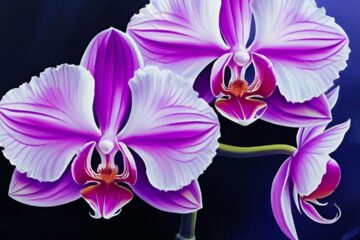 bonsais e orquideas