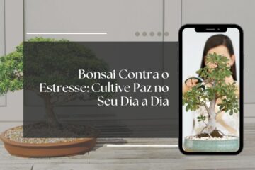 Cuidar de bonsais alivia o estresse, reduz a ansiedade e traz foco. Veja como essa prática pode transformar sua rotina em um ritual de bem-estar.