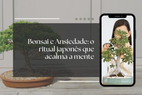 Bonsai e Ansiedade o ritual japonês que acalma a mente
