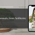 bonsai e som ambiente