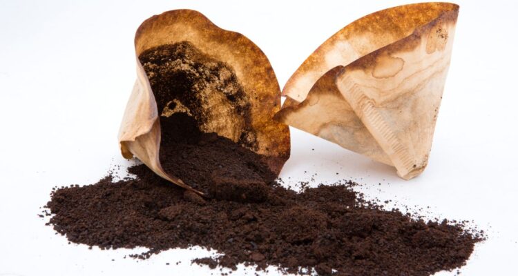 como fazer adubo de borra de cafe para orquideas