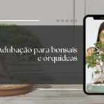 Segredo Revelado Seu Bonsai e Orquídea NUNCA Mais Vão Murchar! Guia Definitivo de Adubação para Iniciantes (e Experts)