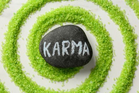 Seu Bonsai e o Karma O que o Cuidado com a sua Árvore Revela sobre a sua Vida (e Ansiedade)