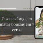Você Está Matando Seu Bonsai sem Saber 7 Erros que Estão Acabando com a Sua Planta