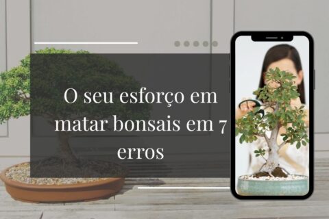 Você Está Matando Seu Bonsai sem Saber 7 Erros que Estão Acabando com a Sua Planta