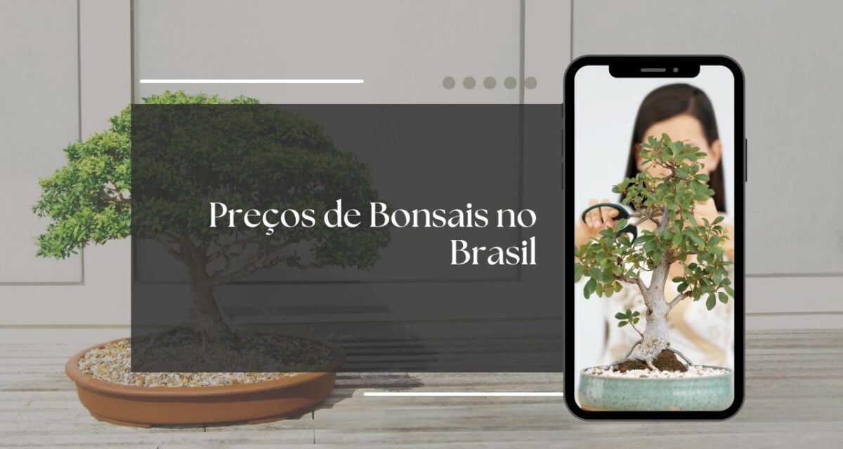 preço de bonsais no brasil