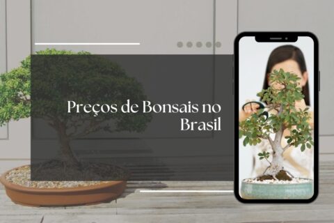 preço de bonsais no brasil