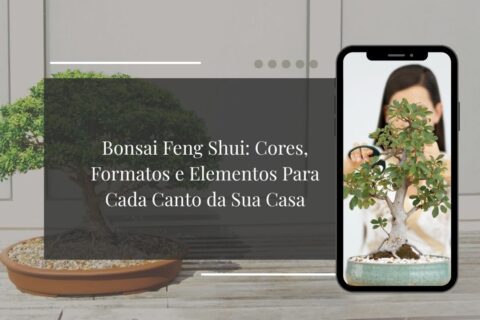 Bonsai Feng Shui Cores, Formatos e Elementos Para Cada Canto da Sua Casa