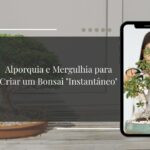 Alporquia e Mergulhia para Criar um Bonsai Instantâneo
