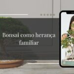 Bonsai como Herança Familiar Como Documentar a História da Árvore para Gerações Futuras