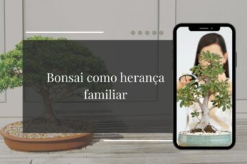 Bonsai como Herança Familiar Como Documentar a História da Árvore para Gerações Futuras