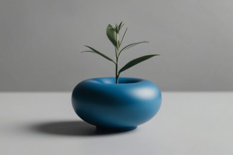 O Elemento Água e o Bonsai