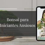Bonsai para Iniciantes Ansiosos As 3 Espécies Mais Fáceis Para Começar a Relaxar Hoje