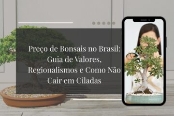 Preço de Bonsais no Brasil Guia de Valores, Regionalismos e Como Não Cair em Ciladas