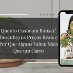 quanto custa um bonsai