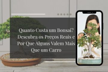 quanto custa um bonsai