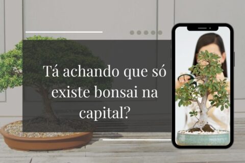 Bonsai de Interior Existe