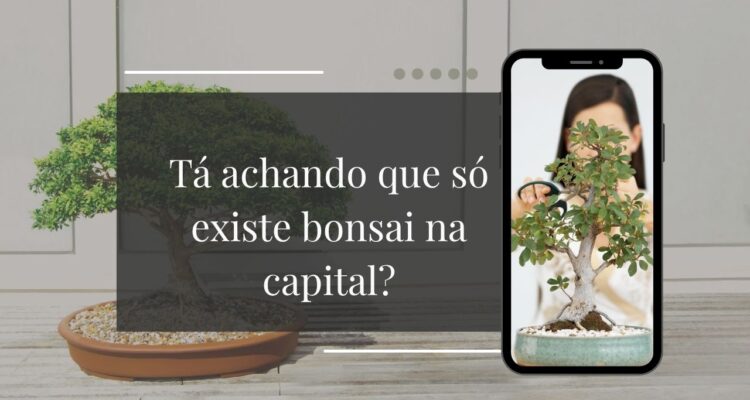 Bonsai de Interior Existe