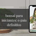 Bonsai para iniciantes guia completo do zero ao primeiro cultivo (2026)