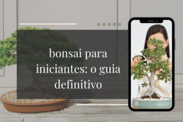 Bonsai para iniciantes guia completo do zero ao primeiro cultivo (2026)